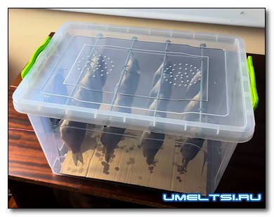 Сушилка для рыбы и мяса своими руками